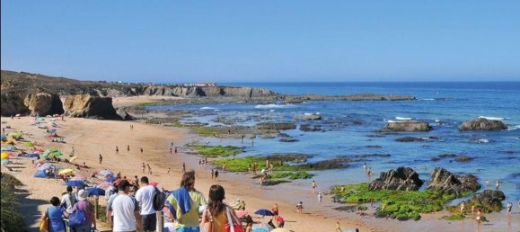 قطعة أرض في Sao Teotonio, Portugal 15000متر مربع رقم 39825 12