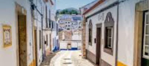 قطعة أرض في Sao Teotonio, Portugal 15000متر مربع رقم 39825 8