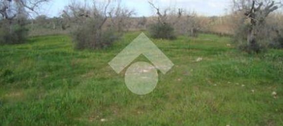 Casa de 2 divisões em Gallipoli, Italy N.º 267735 7