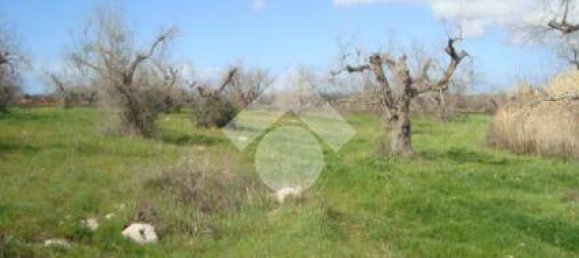 Casa de 2 divisões em Gallipoli, Italy N.º 267735 4