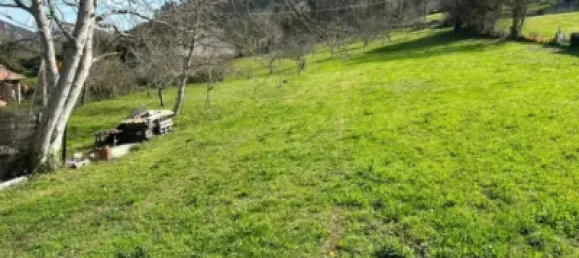  Land in Cangas de Onis, Spain No. 167911 5
