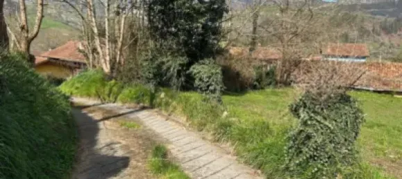  Land in Cangas de Onis, Spain No. 167911 11