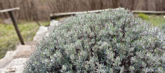 Studio in Belluno, Italy No. 303459 10