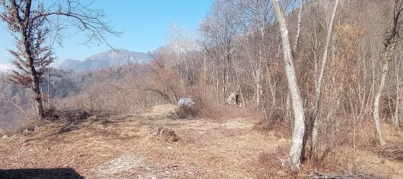 Studio in Belluno, Italy No. 303459 40