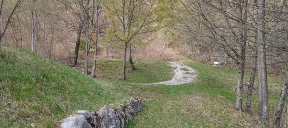 Studio in Belluno, Italy No. 303459 49