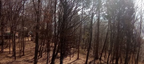 Studio in Belluno, Italy No. 303459 44