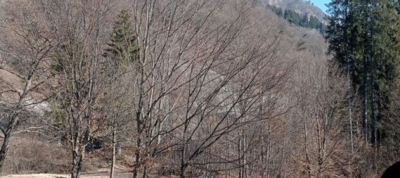 Studio in Belluno, Italy No. 303459 38