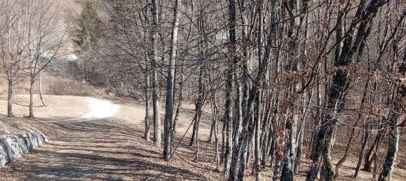 Studio in Belluno, Italy No. 303459 46