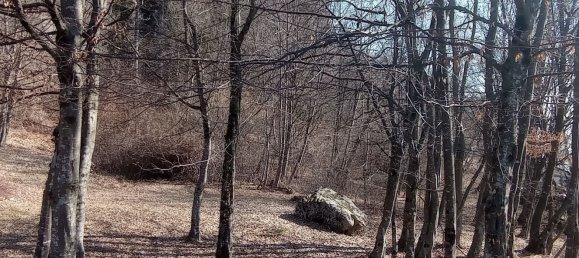 Studio in Belluno, Italy No. 303459 43