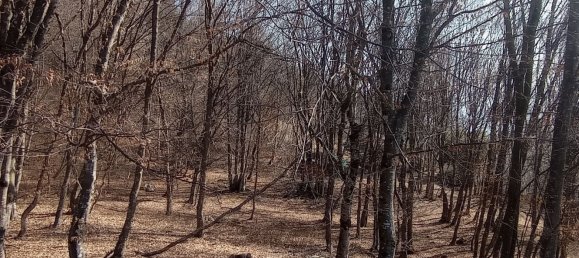 Studio in Belluno, Italy No. 303459 45