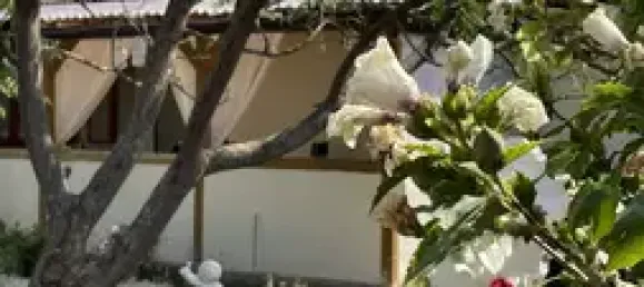 3 bedrooms House in Salzlandkreis, Germany No. 57571 13