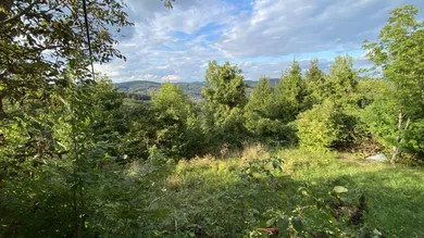 Terrain à Penzing, Austria No. 165590