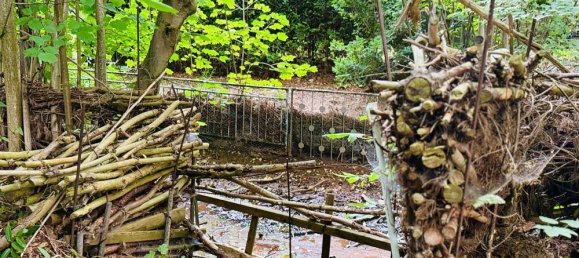 Grundstück in Märkisch-Oderland, Germany, Nr. 226456 12