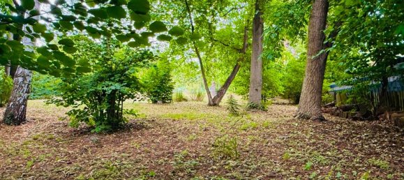 Grundstück in Märkisch-Oderland, Germany, Nr. 226456 11