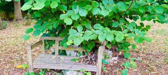 Grundstück in Märkisch-Oderland, Germany, Nr. 226456 9