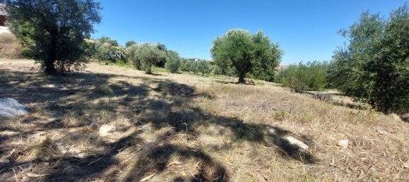 Terreno en Ourem, Portugal 2033 m² No. 92340 15