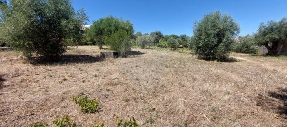 Terreno en Ourem, Portugal 2033 m² No. 92340 12