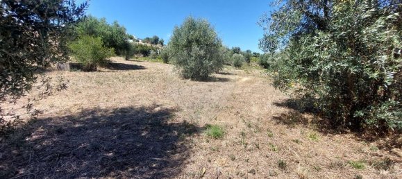 Terreno en Ourem, Portugal 2033 m² No. 92340 13