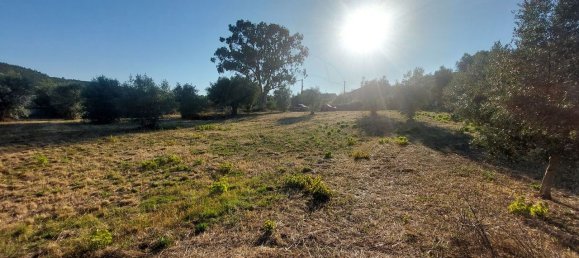 Terreno en Ourem, Portugal 2033 m² No. 92340 4