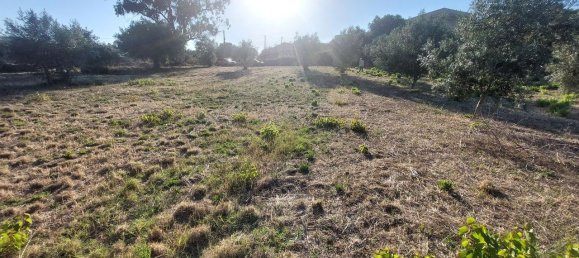 Terreno en Ourem, Portugal 2033 m² No. 92340 6