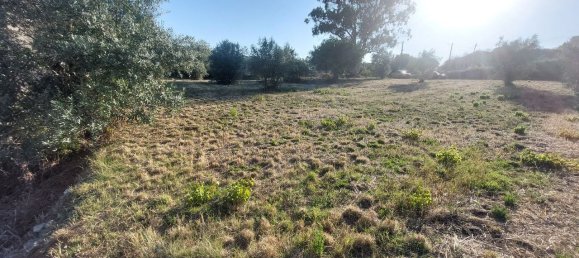 Terreno en Ourem, Portugal 2033 m² No. 92340 7