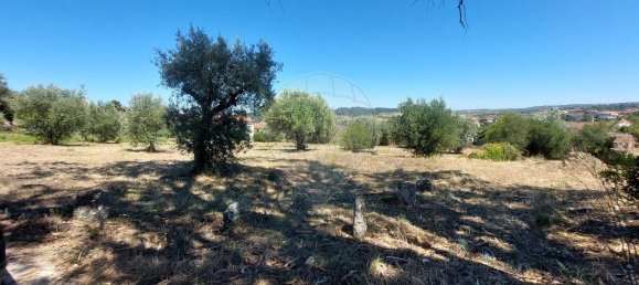 Terreno en Ourem, Portugal 2033 m² No. 92340 18