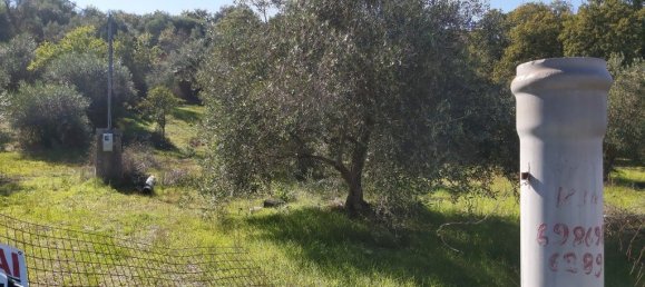 6500m² Hotel in Corfu, Greece No. 3523 18