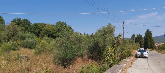 6500m² Hotel in Corfu, Greece No. 3523 5