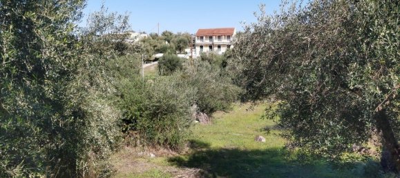 6500m² Hotel in Corfu, Greece No. 3523 8