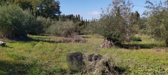 Hotel em Corfu, Greece 6500 m² N.º 3523 13