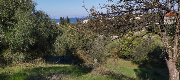 Hotel em Corfu, Greece 6500 m² N.º 3523 11