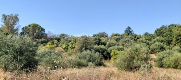 6500m² Hotel in Corfu, Greece No. 3523 3