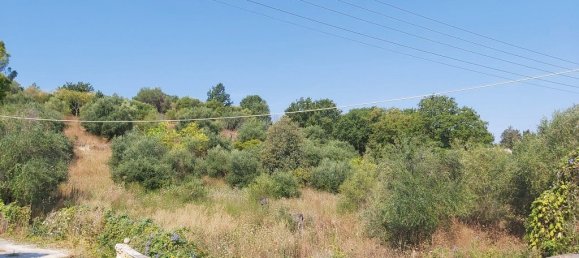 6500m² Hotel in Corfu, Greece No. 3523 4