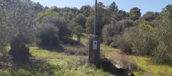 6500m² Hotel in Corfu, Greece No. 3523 7