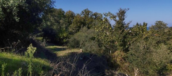 6500m² Hotel in Corfu, Greece No. 3523 12