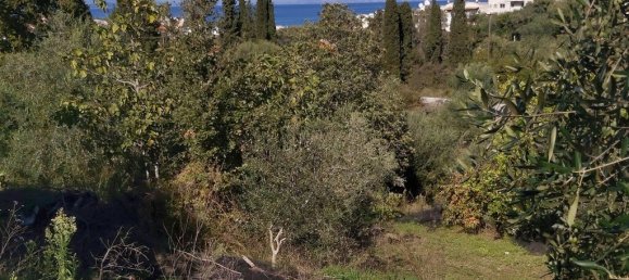 6500m² Hotel in Corfu, Greece No. 3523 2