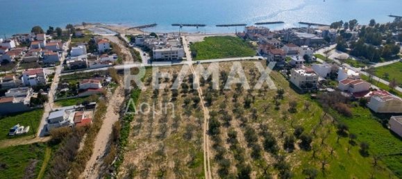 Grundstück in Volos, Greece 2192m², Nr. 8983 16