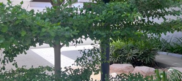 Apartamento de 4 dormitorios en Saadiyat Island, UAE No. 9258 2