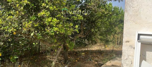 Casa T1 em Cadiz, Spain N.º 145006 13