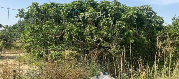 Casa T1 em Cadiz, Spain N.º 145006 14