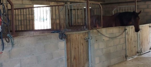 Дом с 5 спальнями в Сенонш, Франция № 154482 16