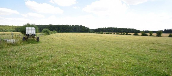 Дом с 5 спальнями в Сенонш, Франция № 154482 19