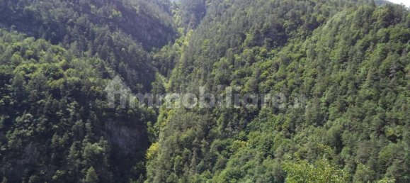 4 bedrooms Villa in Val di Zoldo, Italy No. 273046 44