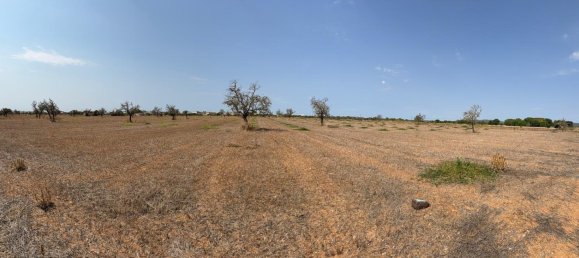 Terreno en Campos, Spain No. 210787 3