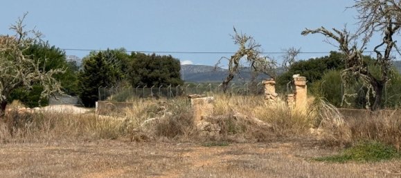 Terreno en Campos, Spain No. 210787 9