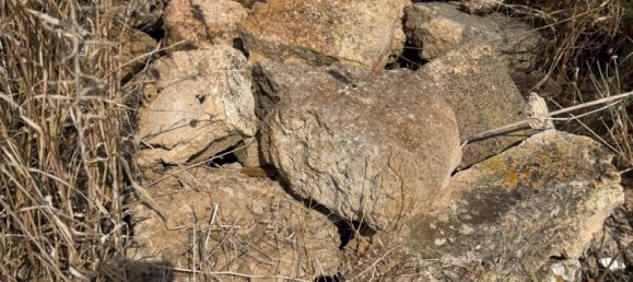 Terreno en Campos, Spain No. 210787 11