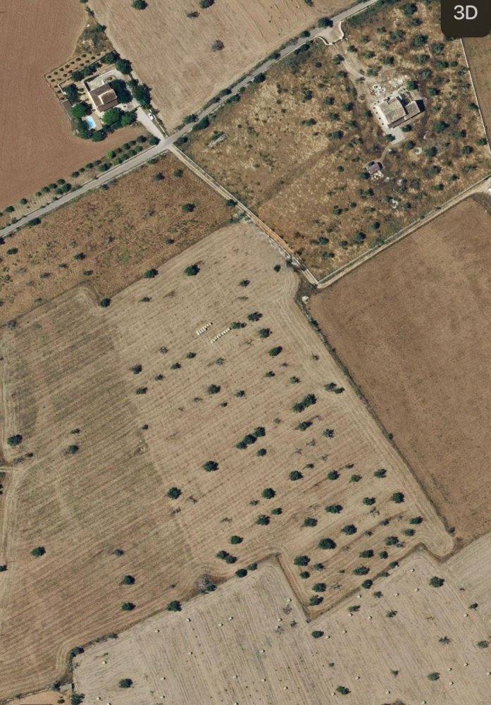  قطعة أرض في Campos, Spain رقم 210787