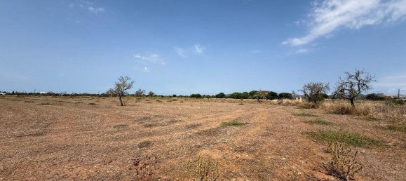 Terreno en Campos, Spain No. 210787 8