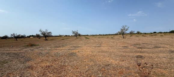 Terreno en Campos, Spain No. 210787 7