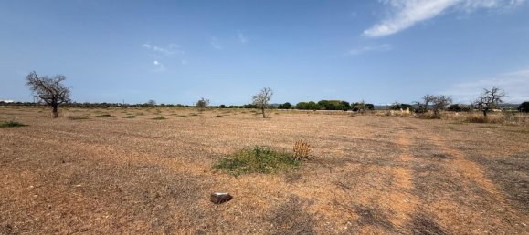 Terreno en Campos, Spain No. 210787 5